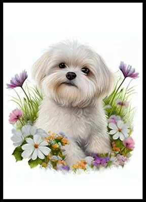 Maltese Charming Puppy Dog And Flowers Greetings Note Card • $3.11