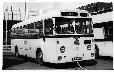 £1.10 • Buy Sheffield Corporation 616BWB 616 BWB Leyland L1 Park Royal Coach B&W Bus Photo