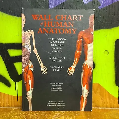 Vintage 2001 Fall River Press Wall Chart Of Human Anatomy Y2K • $17.99