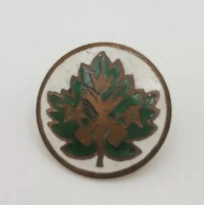 Vintage MWA Modern Woodmen Of America Screwback Pin Collar Disc • $13.80
