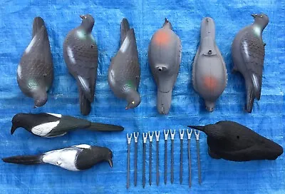 New Decoy Job Lot 6 Pigeon Decoys I Carrion Crow 2 Magpie 10 Suport Stakes Wagbi • £40