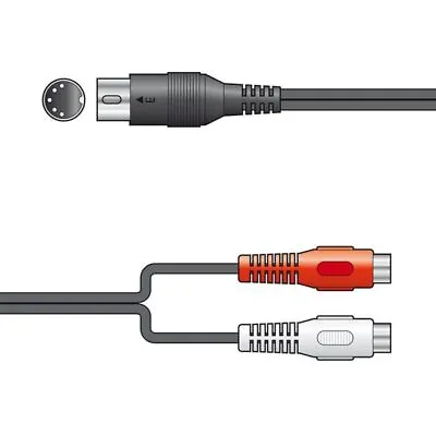 1.2m 5 Pin Male Din To 2 X RCA Phono Sockets Audio Lead Cable Midi Naim B&O • £3.49