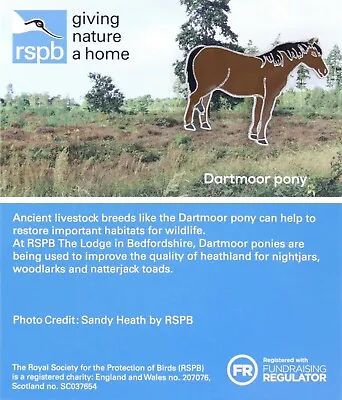 RSPB Pin Badge Lodge Special Dartmoor Pony GNaH Blue 01675 • £4.50