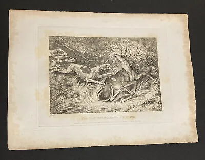 £19 • Buy Etching By Samuel Howitt  THE STAG ENTANGLED BY HIS HORNS