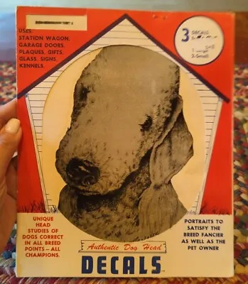 Vintage Bedlington Terrier 1971 Dog Art Decal By D.K. Dennis RARE!! • $20