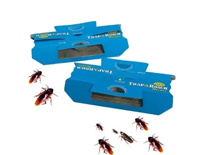 COCKROACH TRAPS GLUE TRAP CRAWLING INSECT PEST CONTROL X 5 - PRO PRODUCT • £10.25