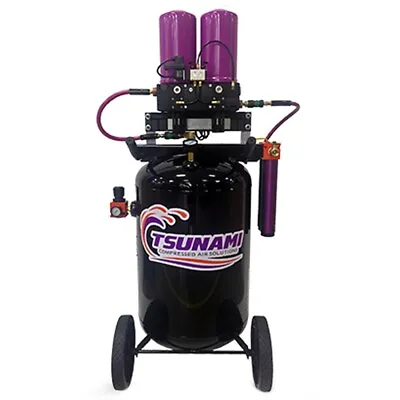 Tsunami Rove 10-HP 30-Gallon Mobile Regenerative Air Dryer (40 CFM) W/ Moistu... • $3644.60