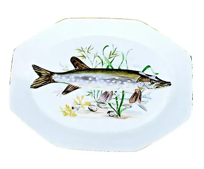 Schirnding Vintage Bavaria Fish Platter • $29