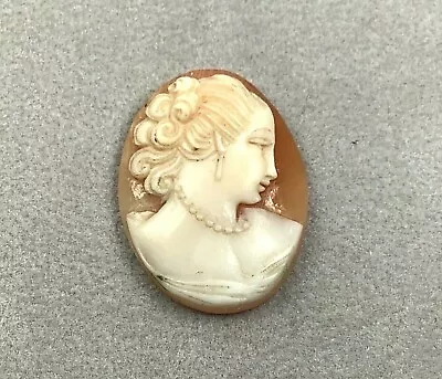 PROJECT PIECE Hand-Carved Right Facing Shell Cameo No Bezel/Shell Only 1” Tall • $50