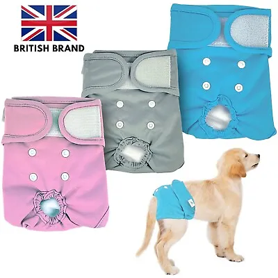 PetCellence Washable Dog Nappies Female Pet Period Heat Season Pant Bitch 3 Pack • £18.99