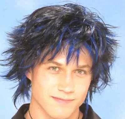 After Dark Wig Gothic Emo Rock Star Dress Up Halloween Adult Costume Accessory • $24.77