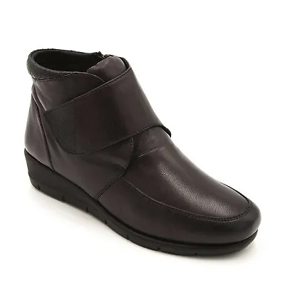 Ladies Padders Wine Leather E Fit Ankle Boots - Acorn  • £50