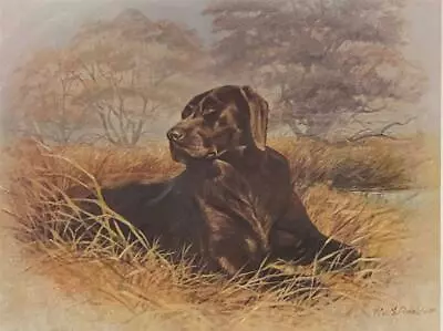 R.J. Mcdonald Good Boy S/N Chocolate Lab Art Print-20 X 15 • $125