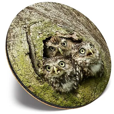 £3.99 • Buy Round Single Coaster  - Owl Chicks Baby Bird Cute Wildlife  #45962