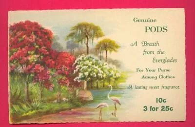 E G Barnhill Everglades Florida Pods Color Print Card Egret Heron Tree's NOS FL • $6.95