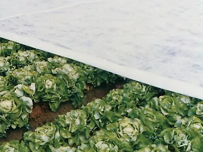 New Frost / Insert Protection Fleece White Ground Cover Sheet Garden 1.5m X 8m • £4.95