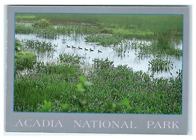 Postcard New Mills Meadow Acadia National Park Maine ME K9 • $2.99