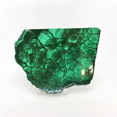 Malachite Polished Slab Specimen Display Mineral Green #R-4231 • $63