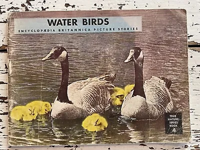 Vintage Water Birds Encyclopedia  Picture Stories 1946 True Nature Book 4 • $8