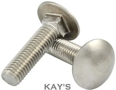 Carriage Bolts Cup Square Dome Coach Screws A2 Stainless Steel M5m6m8 Kays • £2.99