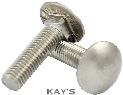 £21.49 • Buy M12 Carriage Bolts Cup Square Dome Head Coach Screws A2 Stainless Steel Din 603 