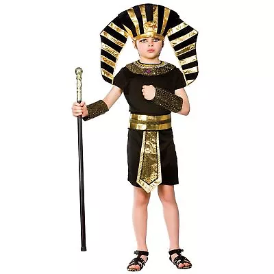 Boys Egyptian Pharaoh Costume Fancy Dress Up Halloween Party Historical King Tut • £17.29