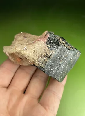 Large Elbaite Tourmaline Crystal In Matrix Mt Mica Maine Ex. NYS Museum Specimen • $150