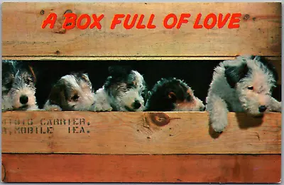 Vintage Postcard A Box Full Of Love Puppies Dogs In Wooden Crate Box Cute Animal • $3.86