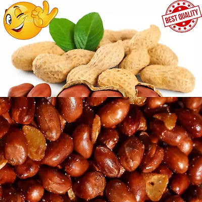 Peanut Roasted Peanuts No Scene Only Peanut Salt Little Spicy • £63.62