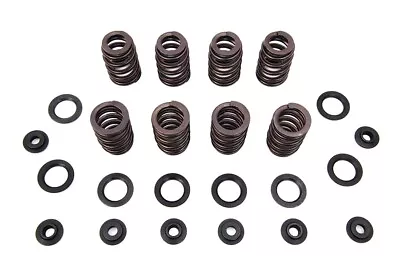 M8 Valve Spring Kit With Steel Retainers Fits Harley Davidson • $231.99