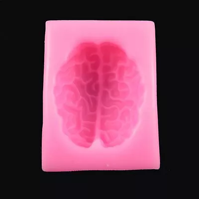 Cerebrum Brain Silicone Mould FOOD GRADE Chocolate Clay Or Resin • $6.95