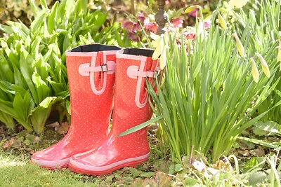 £18 • Buy Budget Spotty Red Glossy Wellies UK Size 4/5 ONLY