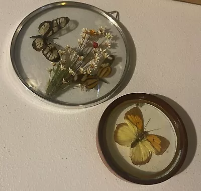 Vintage Butterfly Taxidermy Framed Wall Decor Art MADE IN BRAZIL And Enesco • $16.50