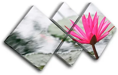 Water Lily Flowers Floral MULTI CANVAS WALL ART Picture Print VA • £49.99