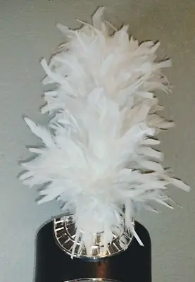 Marching Band Hat Shako Feather White Plume 14  - 16  • $12.50