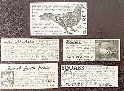 C1900s EAT SQUABS&FREE BOOK Vtg Baby Pigeon Print Ad Lot~Plymouth Rock&Homer Co. • $12.95