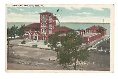 State Fish Hatchery Erie Pennsylvania Vintage Postcard AF193 B • $2