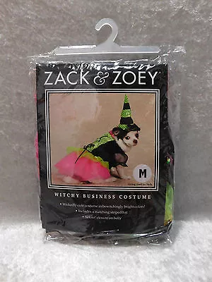 Zack & Zoey Witchy Business Halloween Dog Costume XS-XL • $9.99