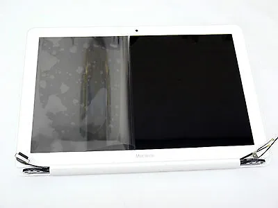 LCD LED Display Screen Assembly For MacBook 13  A1342 2009 2010  • $209.99