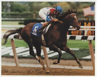 Cigar Ridden By Jerry Bailey 8x10 Photo - Horse Racing Hall Of Famer • $10.99