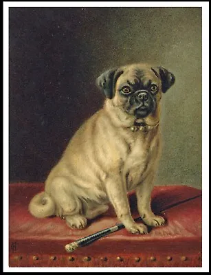 £5.99 • Buy Pug Seated On Red Seat Lovely  Vintage Style Dog Art Print Poster 