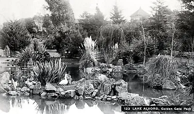 C.1890 SAN FRANCISCO GOLDEN GATE PARK LAKE ALVORD (aka:LAKELET) W/SWANS~NEGATIVE • $15.99