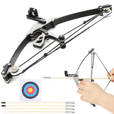 9.5'' Mini Compound Bow Arrows Set 10lbs Archery Target Shooting Children Gift • £21.59