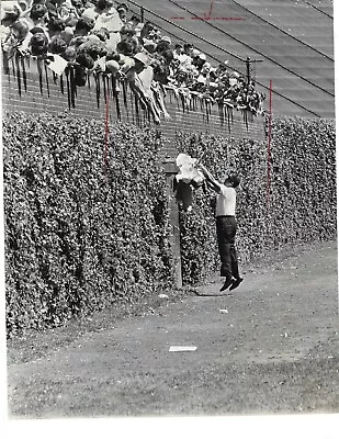 1969 Baseball Wire Photo Chicago Cubs Wrigley Field Bleachers Atlanta Braves • $29.99