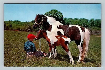 Child With Mare And Colt Vintage Postcard • $7.99