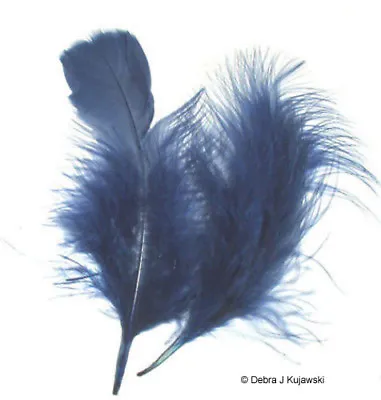 Quality Marabou Feathers NAVY BLUE Fluffy 3-8  L 7 Grams Approx 35 Ct • $3.15