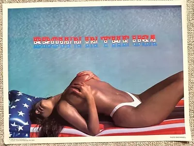 Sexy Girl  Brown In The USA  Bikini Pin-Up 17.5 X23 Poster 1989 Sam Maxwell NEW • $19.95