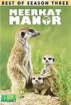 Meerkat Manor: Best Of Season 3 (DVD) & Artwork Only NO CASE Excellent Condition • $3.50