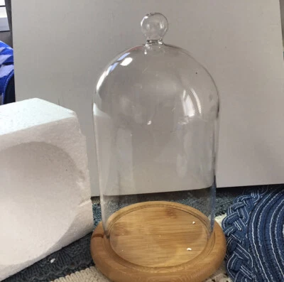 £20.99 • Buy 8” Clear Glass Cloche Display Dome, Tall Bell Jar Candle And Decoration Cover