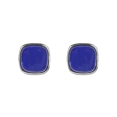 Stunning 925 Sterling Silver Natural Blue Lapis Lazuli Square Stud Earrings， • $19.99